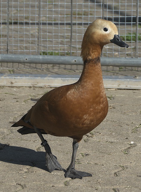 这个赛季