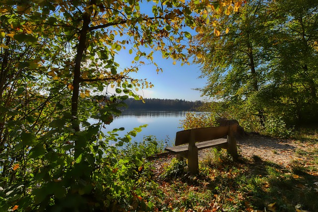 表现还远远 表现还远远