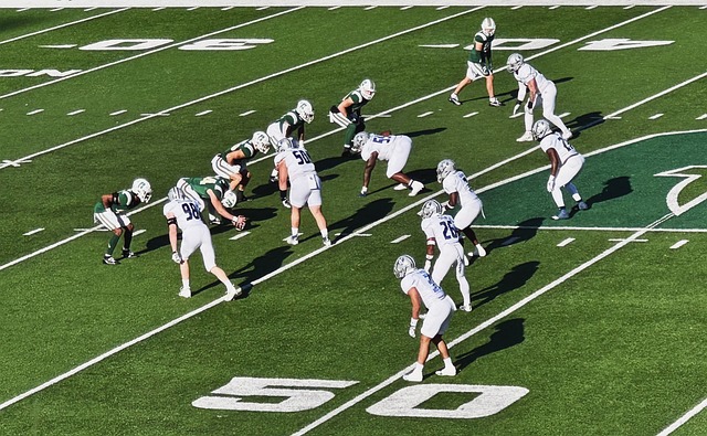 基地将成为 基地将成为