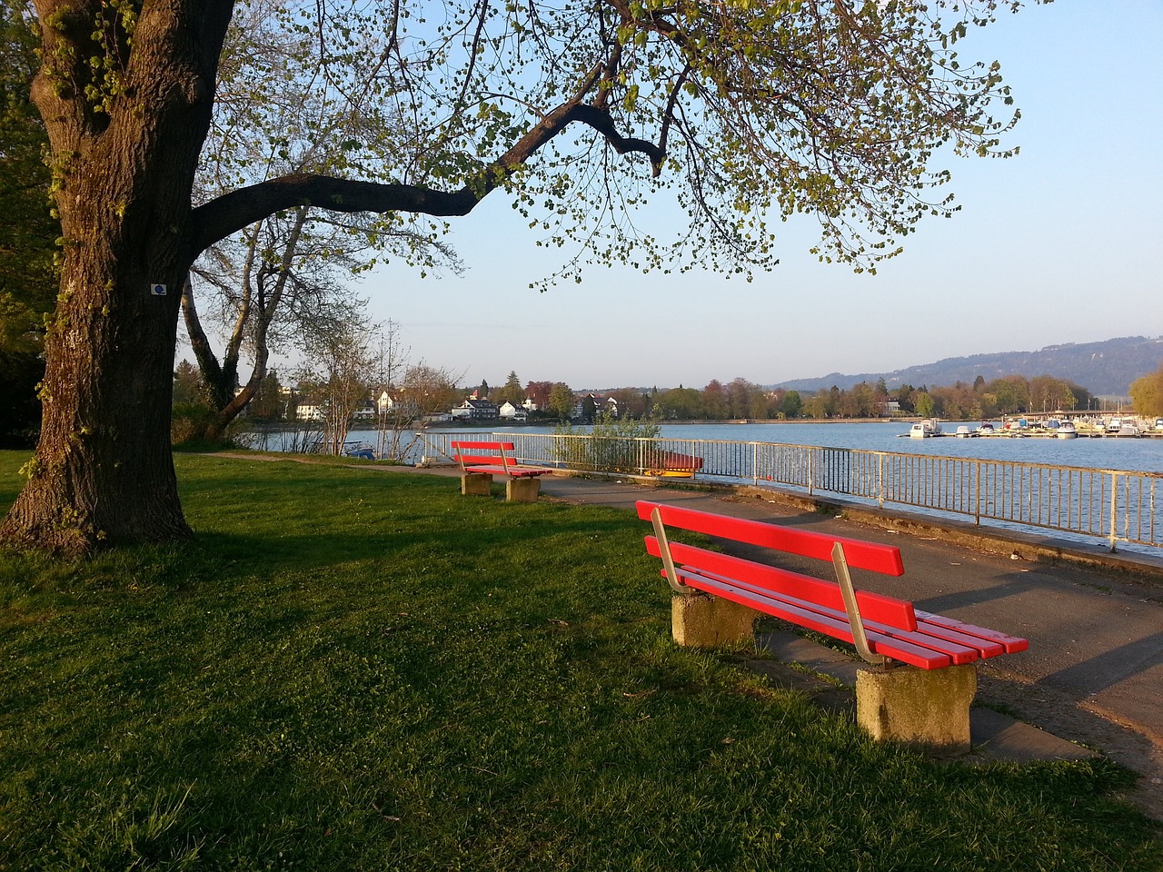 这种优势并 这种优势并